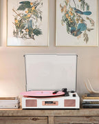 Victress TE-2017 - VICTRESS