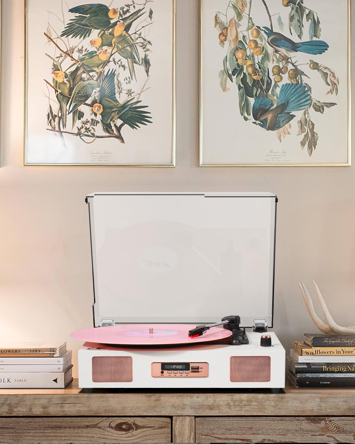 Victress TE-2017 - VICTRESS