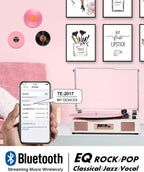 Victress TE-2017 - VICTRESS