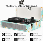 Victress TE-012 - VICTRESS