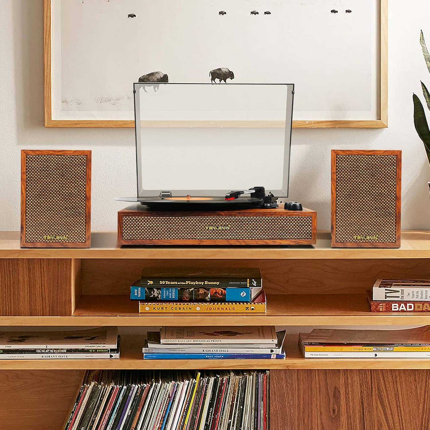 Victress TE-2028 - VICTRESS