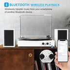 Victress TE-003 - VICTRESS