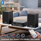 Victress AH001 450W Hi-Fi Bluetooth Amplifier with Wireless Microphones