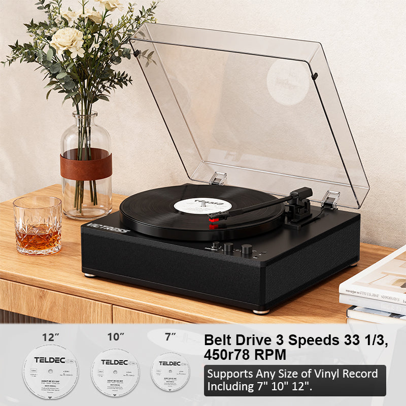 TE-3008 Full-Size Turntable with Adjustable Counterweight and Bluetooth Output